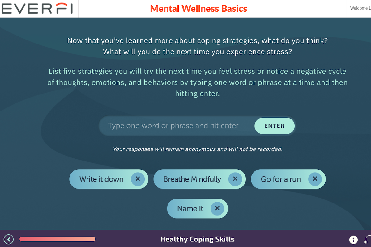 Mental Wellness Basics is a digital resource that introduces middle and high school students to mental health education.