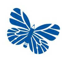 Tutorfly